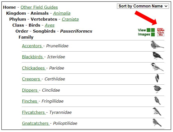 Image of drill down with custom field guide link