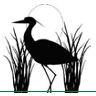 Montana_Wetland_Council_Logo.JPG