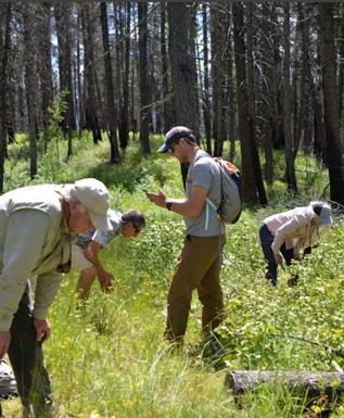 Image of Citizen Botanists