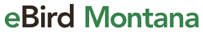 eBird Montana Logo