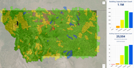 Dashboard Thumbnail