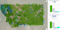 Dashboard Thumbnail
