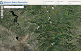 Dashboard Thumbnail