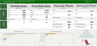 Dashboard Thumbnail