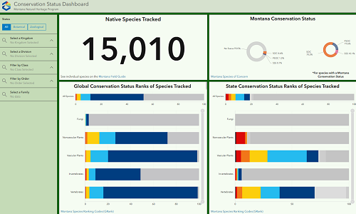 Dashboards thumbnail image