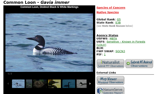 Field Guide thumbnail image
