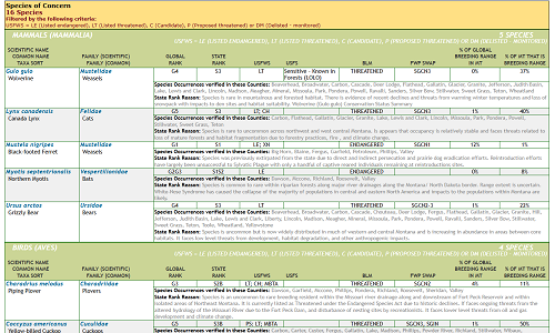 SOC Report Thumbnail image